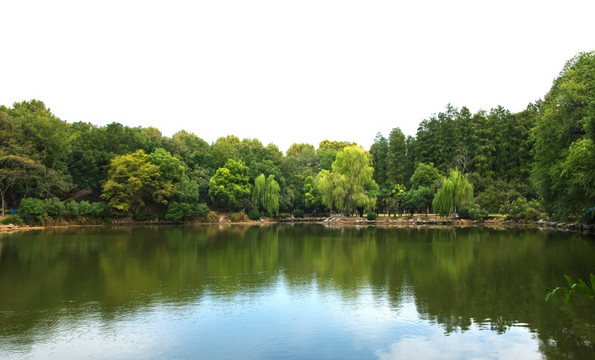 秋天湖水树林