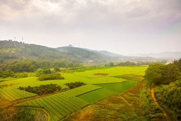 田園風光