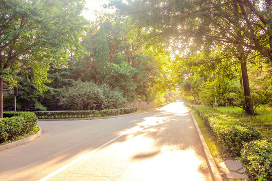 黄昏下的公园美景