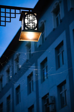 夜晚路灯下的蜘蛛网