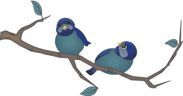 比翼鳥