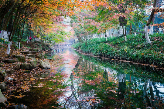 浙江杭州九溪十八涧