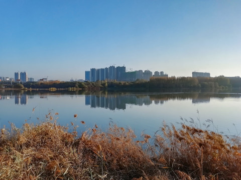 天鹅湖秋色