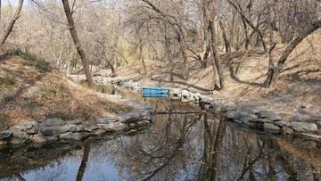 公园湖水小船