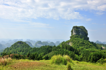 高山草地