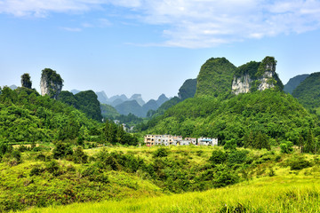 高山草地