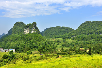 高山草地