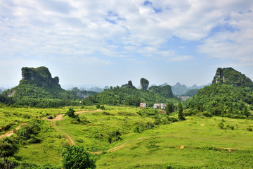 高山草地