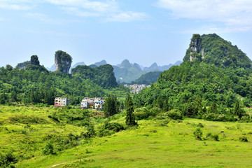 高山草地