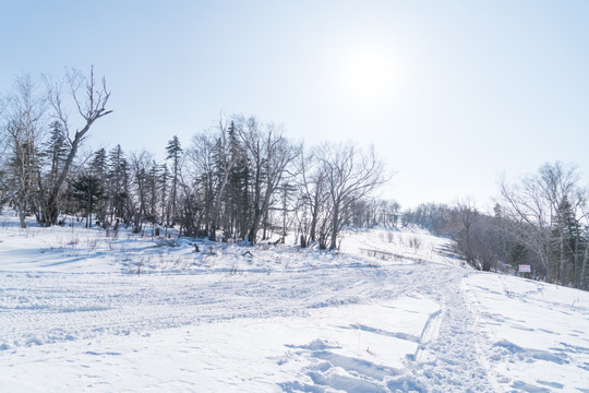 林海雪原