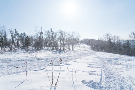 林海雪原