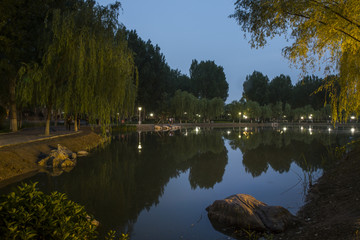 龙泉湖湿地公园夜色