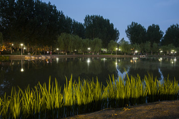 龙泉湖湿地公园夜色