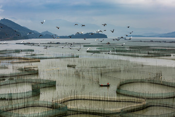 霞浦