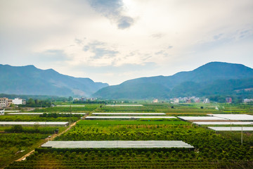 山村田园风光