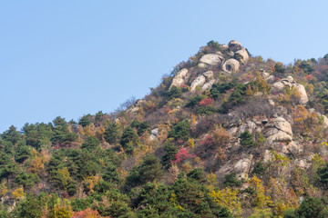 山中秋景植被山石