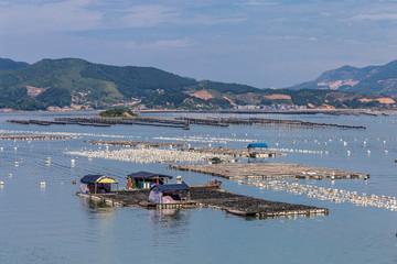 霞浦