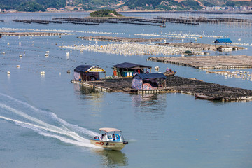 霞浦