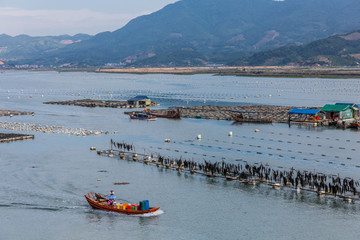 霞浦