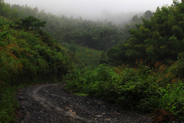 山中小路