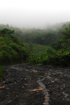 山间路