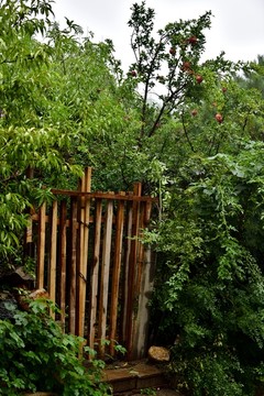 雨中山里的风景