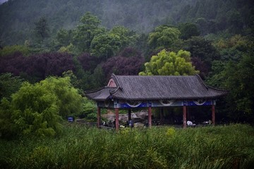 雨中山色美景