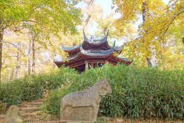 天平山御碑楠亭