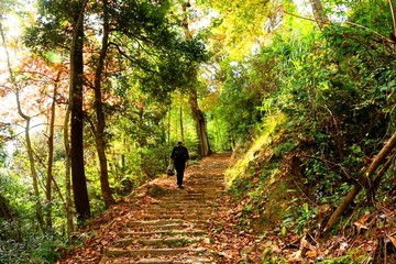 文成大会岭红枫古道