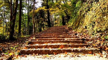 文成大会岭红枫古道