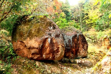 文成大会岭红枫古道