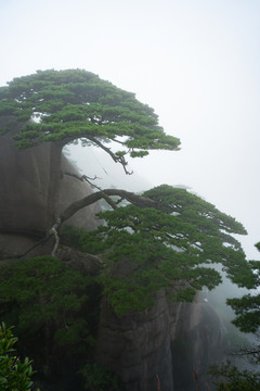 安徽黄山风光