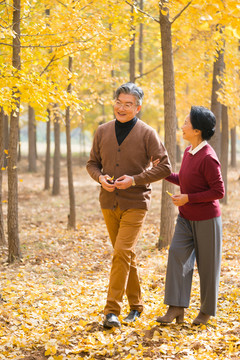 在银杏林散步的老年夫妻