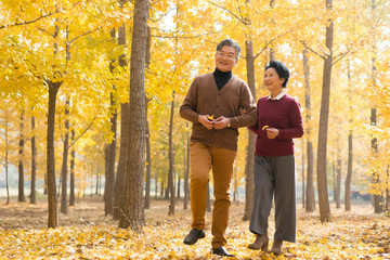 在银杏林散步的老年夫妻