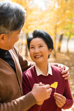 在银杏林散步的老年夫妻