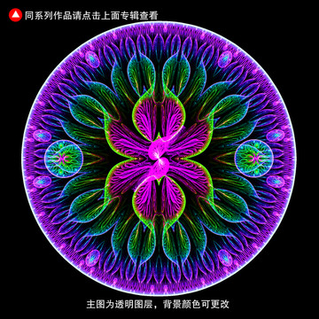 服裝圖案