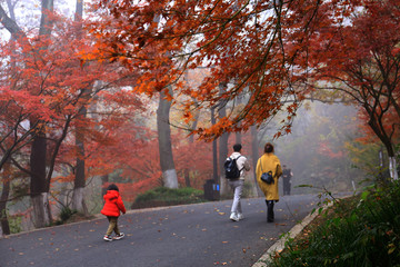 登山