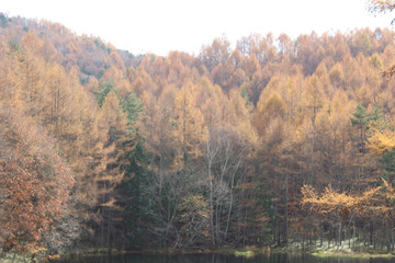 日本山水