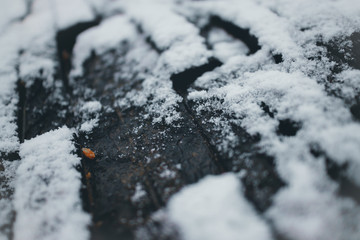 高清雪景