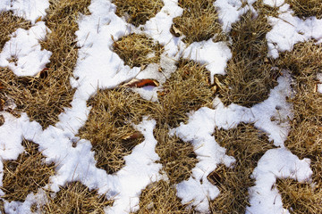 积雪融化