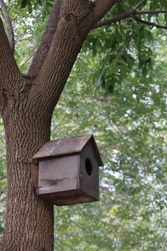 挂在树上的鸟笼小屋
