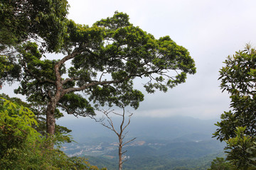 海南五指山国家森林公园