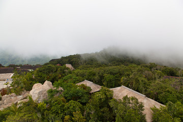 亚龙湾鸟巢度假村