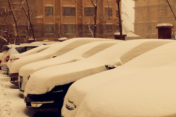 暴雪加沙尘暴