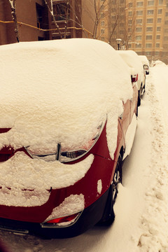 黄雪