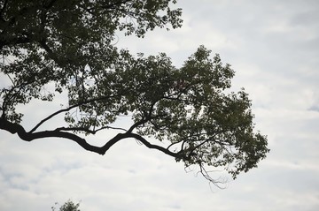 岳麓书院