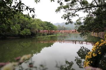 深圳东湖风光