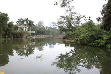 深圳东湖公园风光