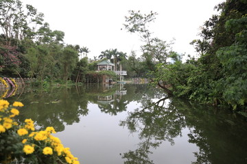 深圳东湖公园风光