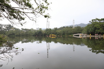 深圳东湖公园风光